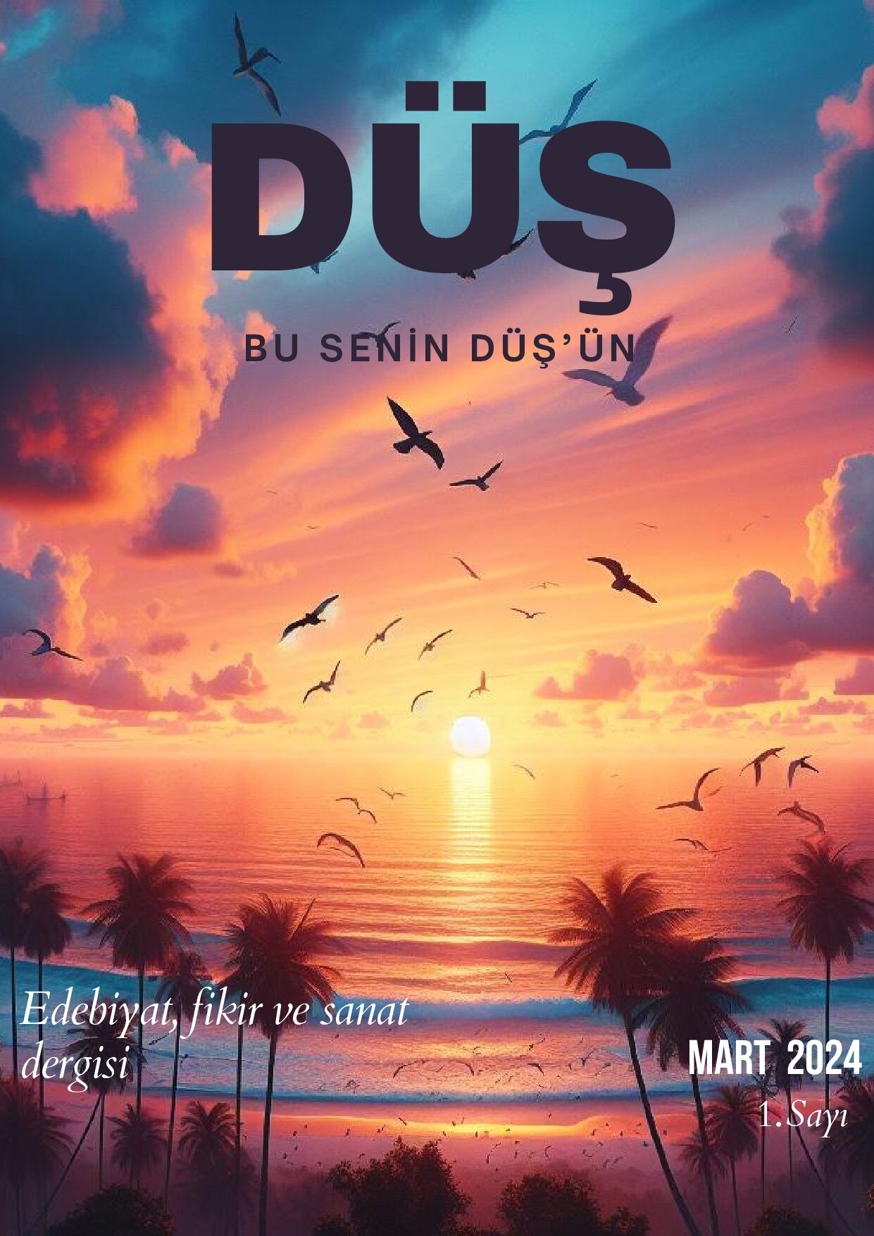 Sayı 1