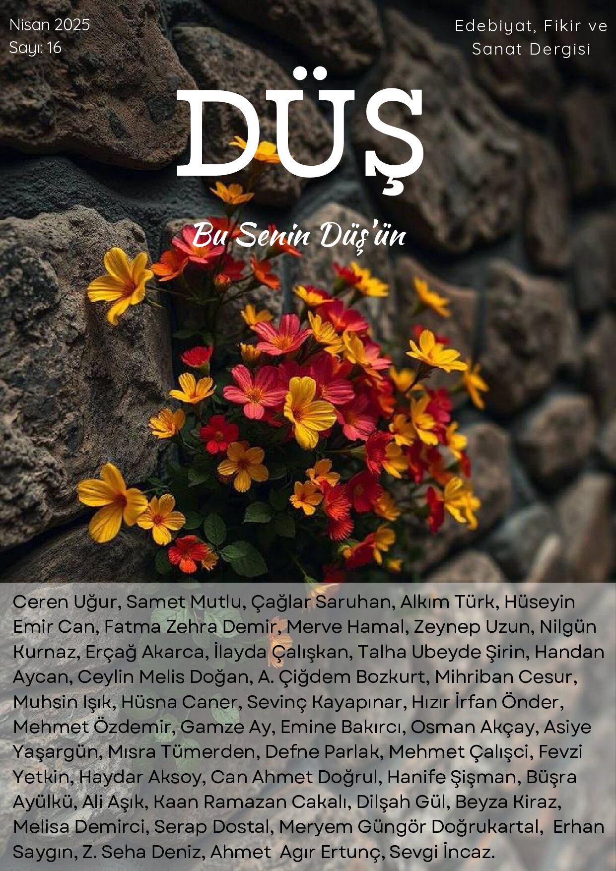 Sayı 17