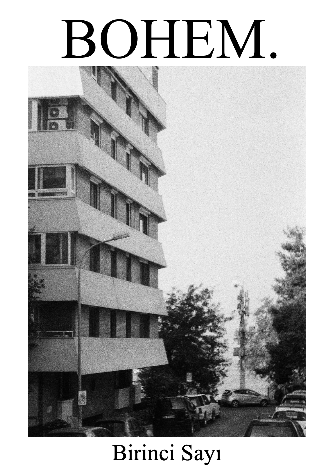 Sayı 1