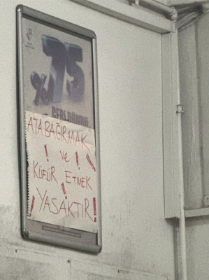 Aslında at kendini gayet koruyabilir durumda