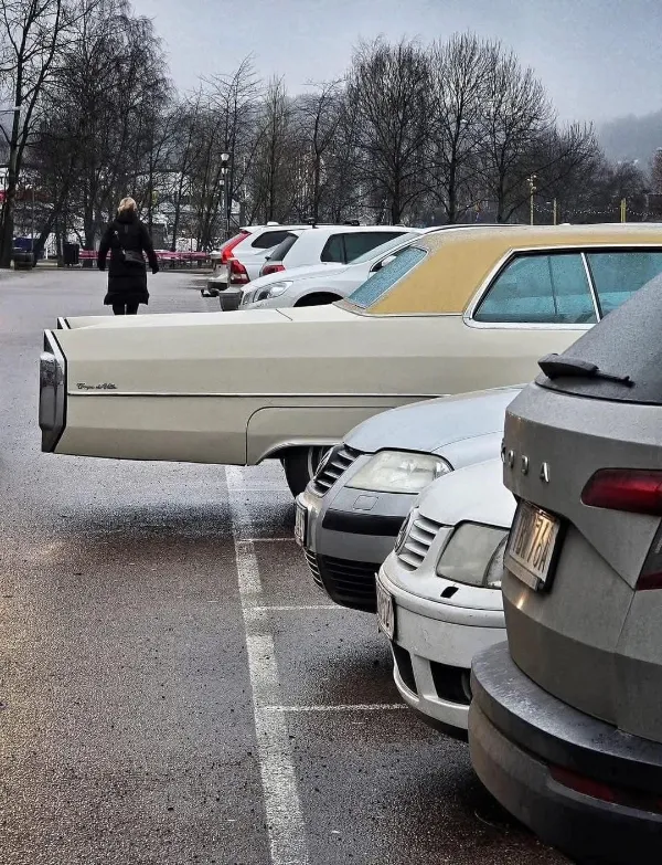 Farklılığın Fazlalığı