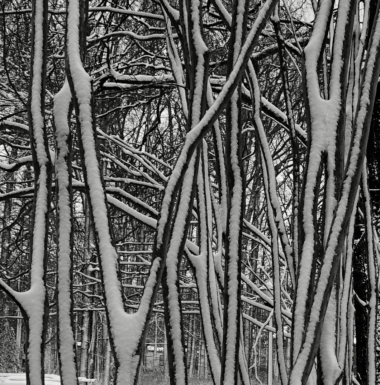 Bu görüntüleri çok gördük