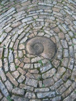 doğa döngü ve d harfiyle başlayan