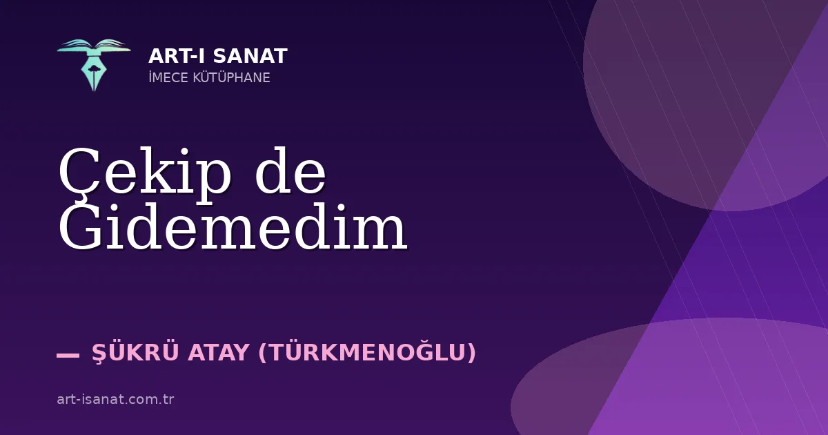 Çekip de Gidemedim