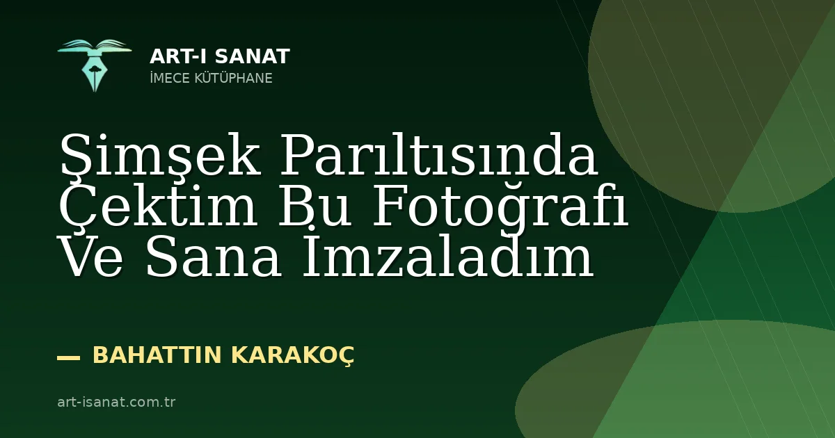Şimşek Parıltısında Çektim Bu Fotoğrafı Ve Sana İmzaladım