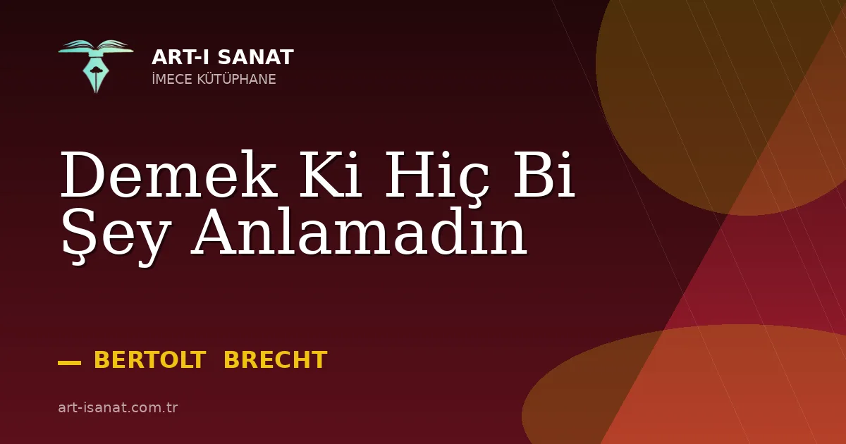 Demek Ki Hiç Bi Şey Anlamadın