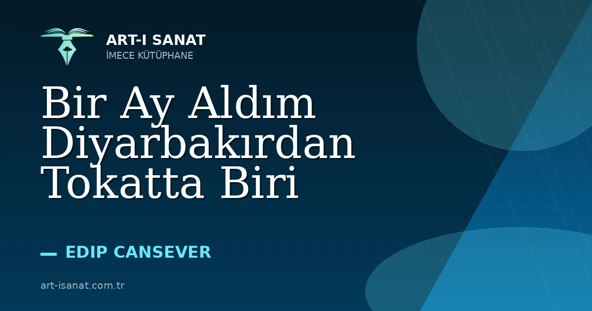 Bir Ay Aldım Diyarbakırdan Tokatta Biri