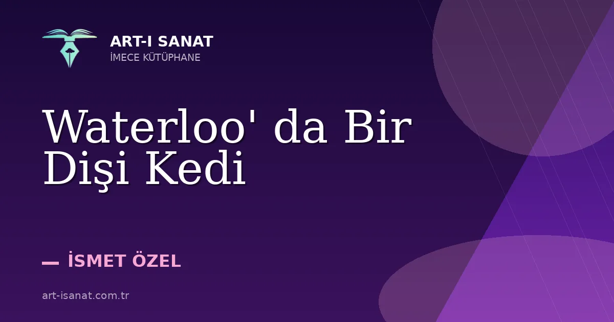 Waterloo' da Bir Dişi Kedi
