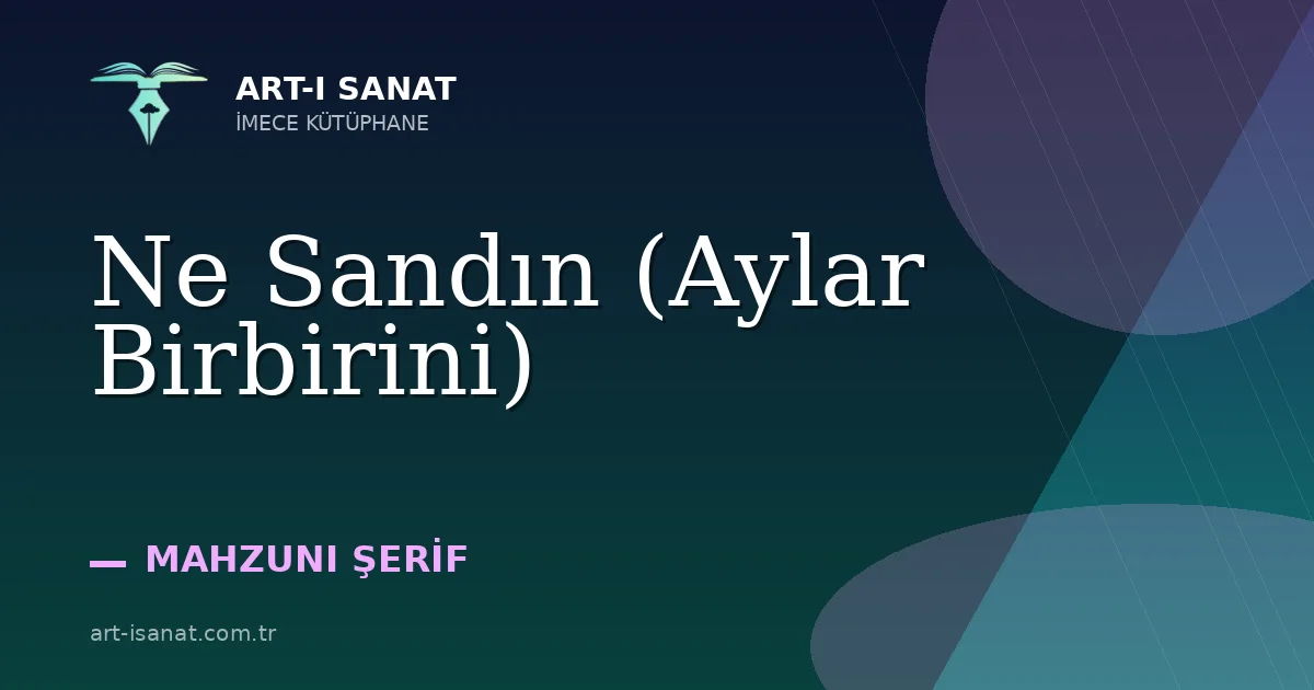 Ne Sandın (Aylar Birbirini)