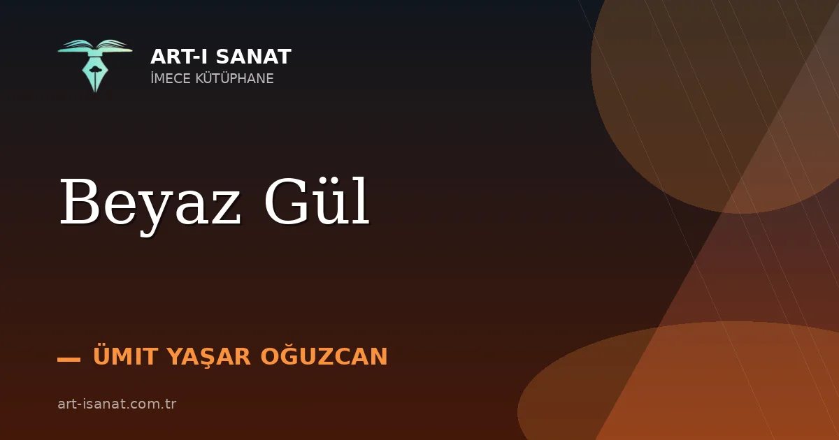 Beyaz Gül