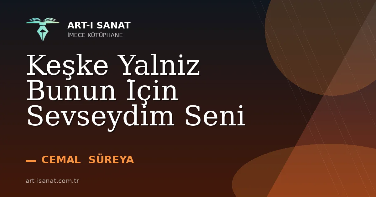 Keşke Yalniz Bunun İçin Sevseydim Seni