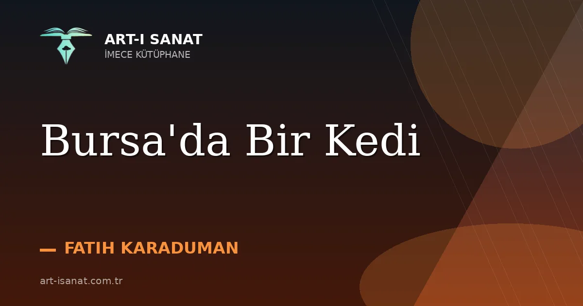 Bursa'da Bir Kedi