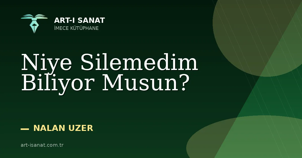Niye Silemedim Biliyor Musun?