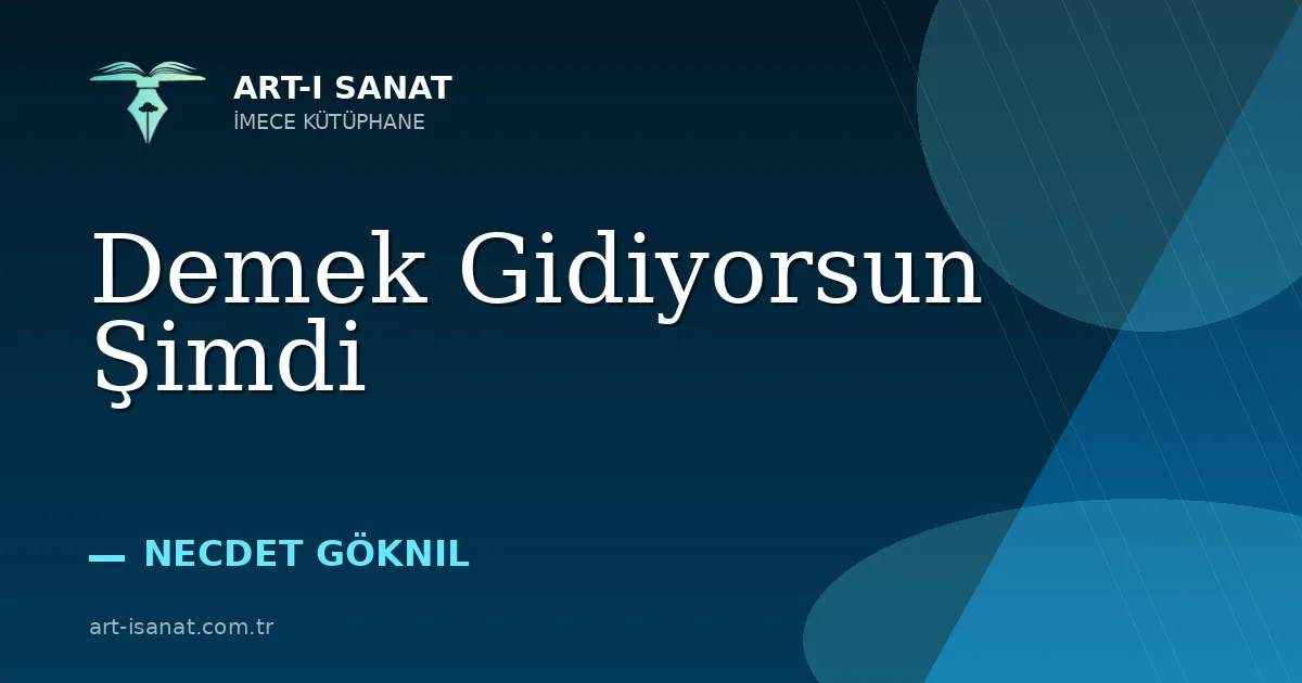 Demek Gidiyorsun Şimdi