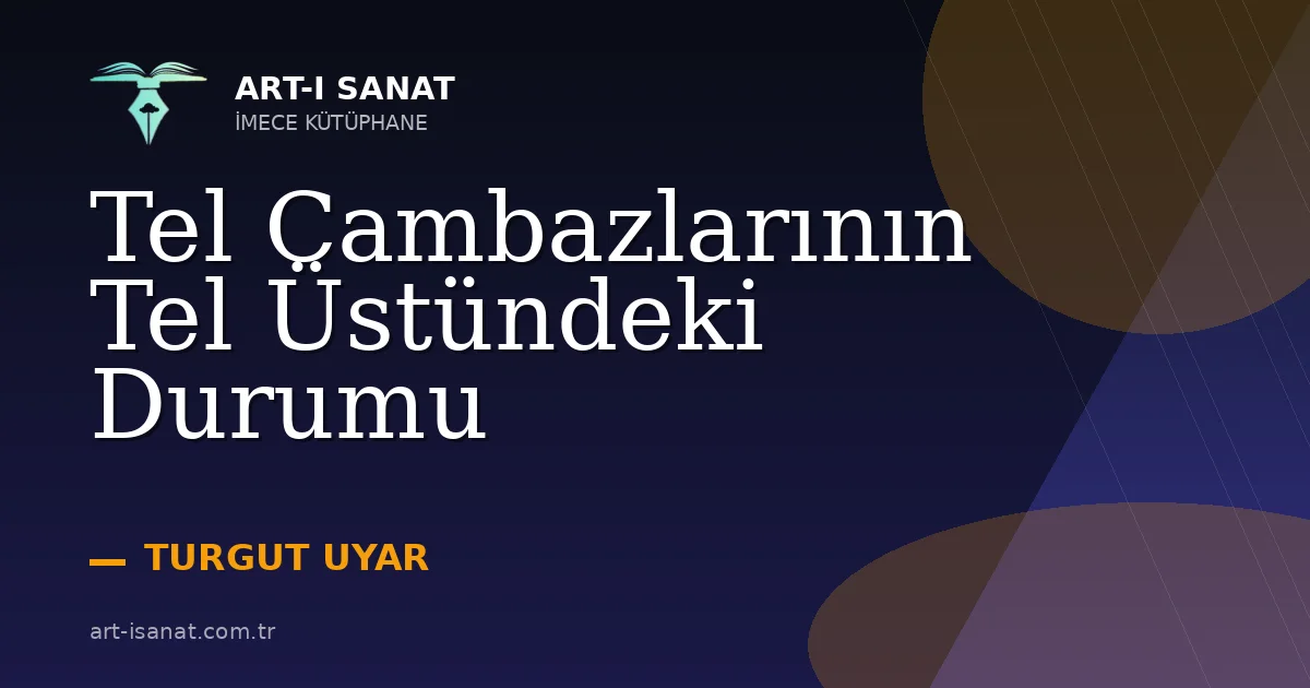 Tel Cambazlarının Tel Üstündeki Durumu