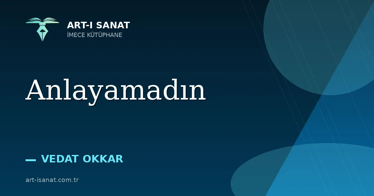 Anlayamadın