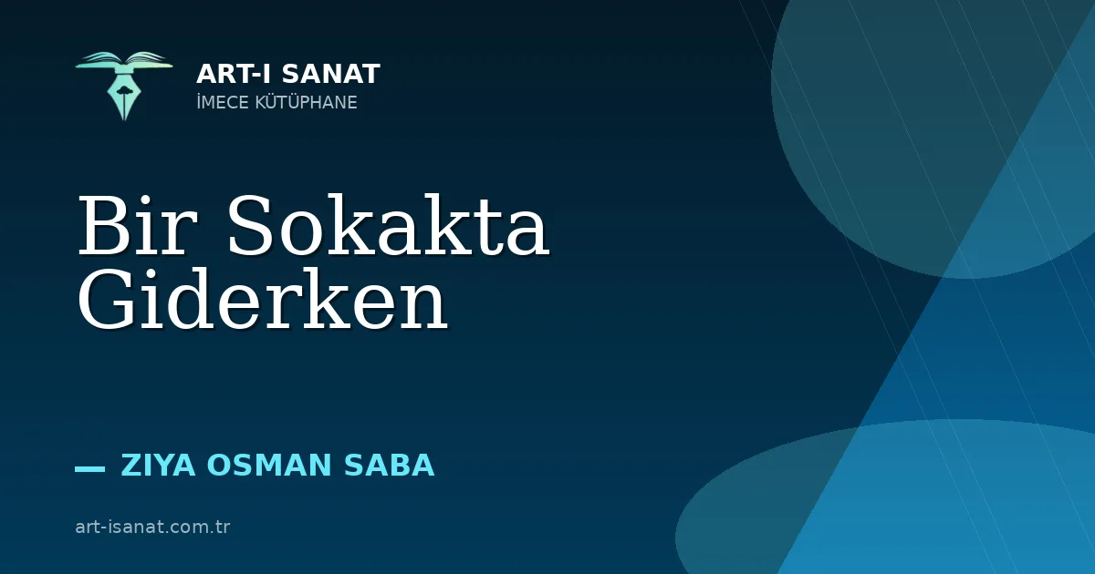 Bir Sokakta Giderken