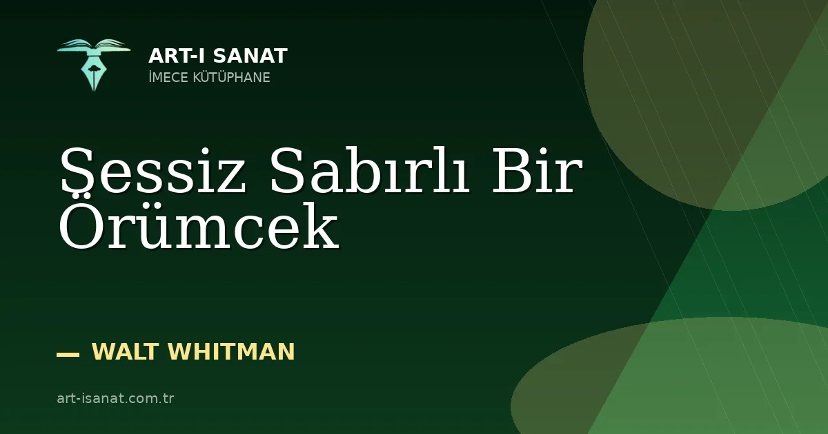 Sessiz Sabırlı Bir Örümcek