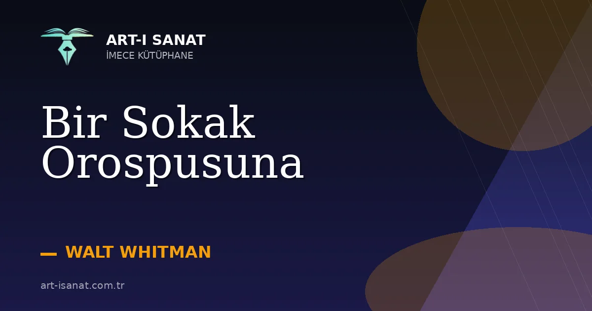 Bir Sokak Orospusuna