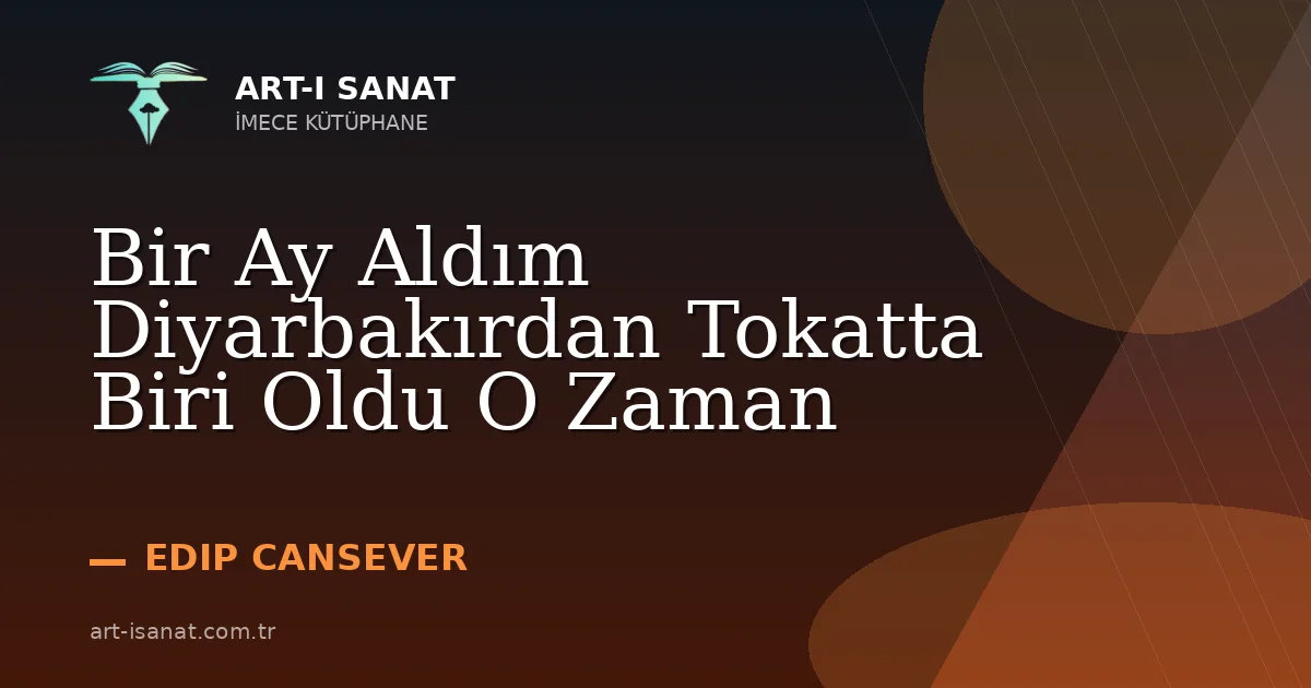 Bir Ay Aldım Diyarbakırdan Tokatta Biri Oldu O Zaman