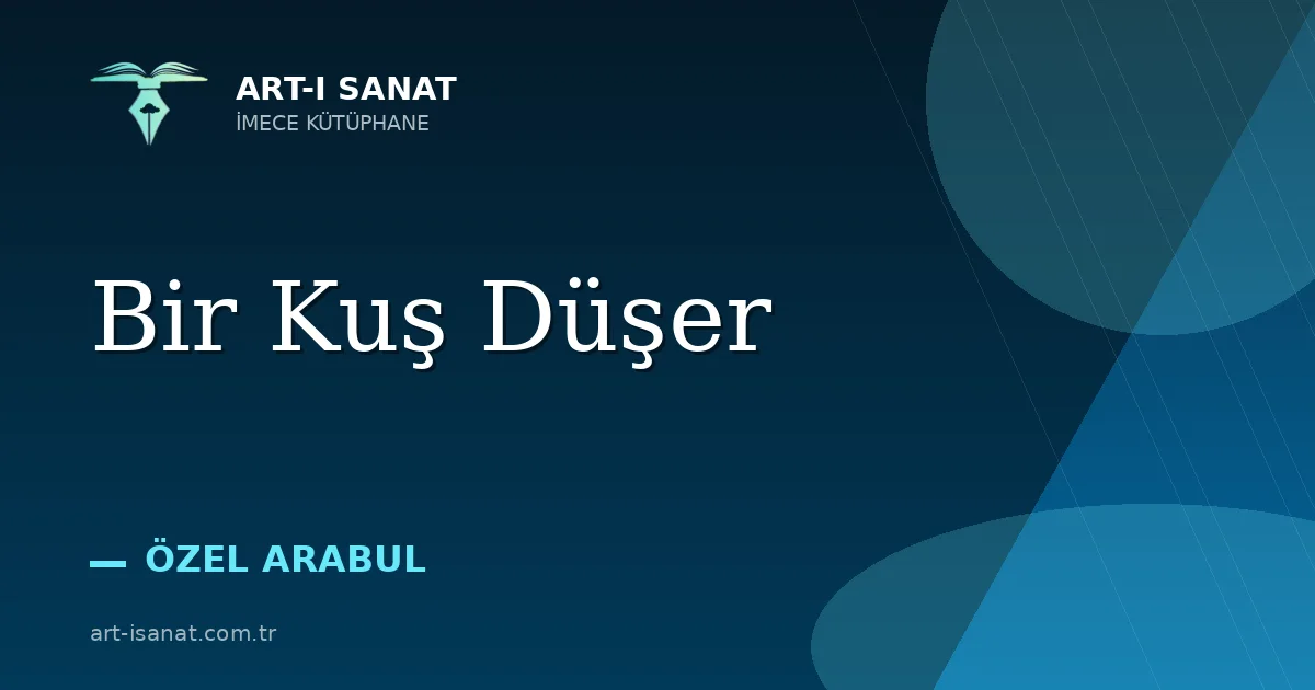 Bir Kuş Düşer