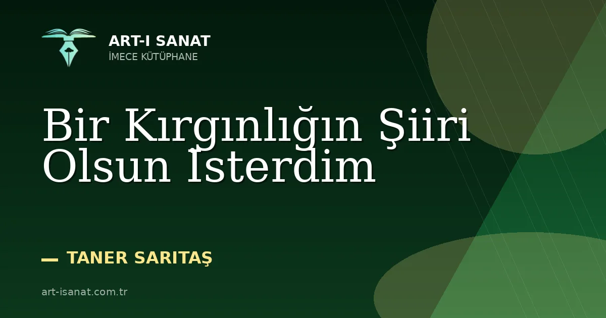 Bir Kırgınlığın Şiiri Olsun İsterdim